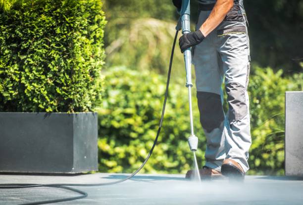 Best Warehouse Cleaning  in Fellsmere, FL