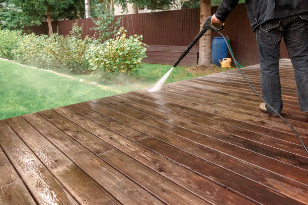 Best Spring Cleaning  in Fellsmere, FL