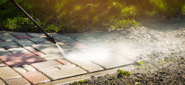 Best Sidewalk and Walkway Cleaning  in Fellsmere, FL
