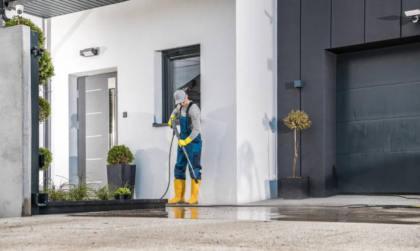 Best Roof Washing  in Fellsmere, FL
